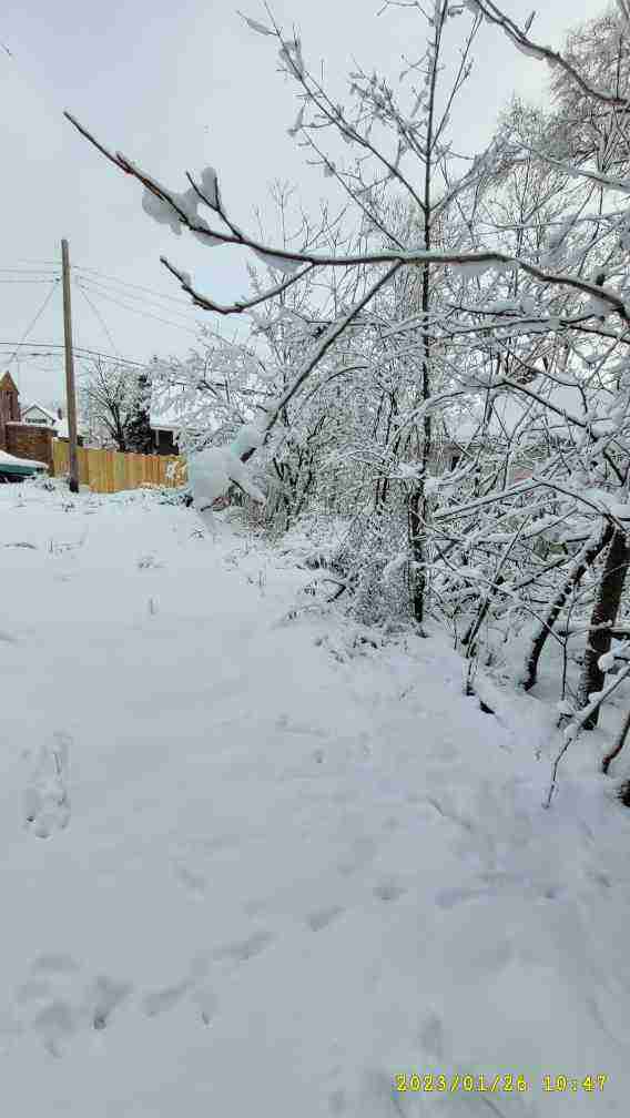 12794 alcoy (37).jpg